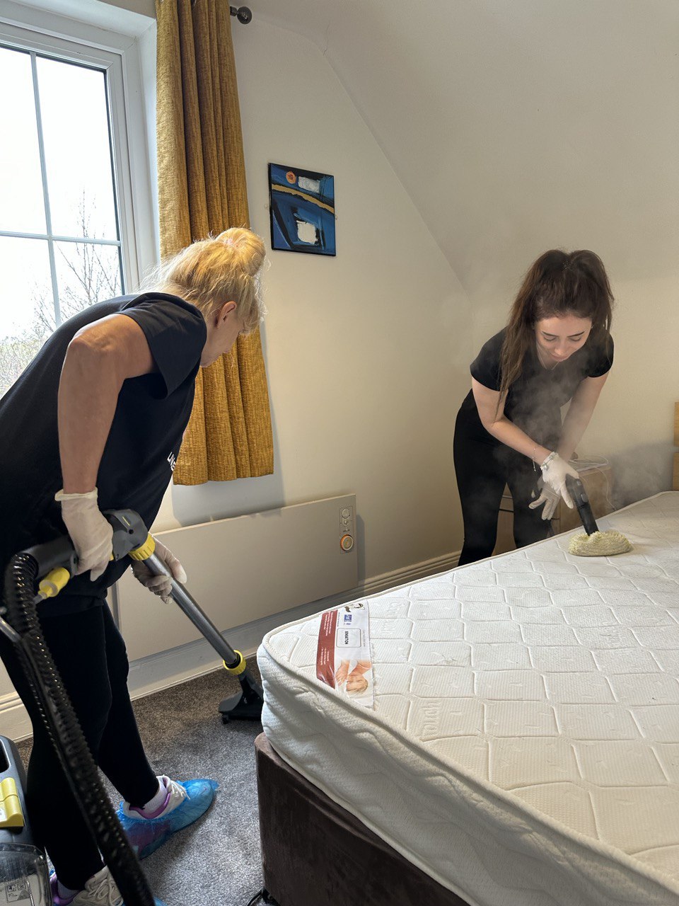 Mattress Cleaning Bundle