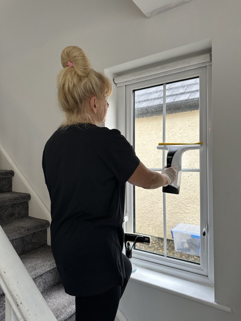 Window Interior Cleaning